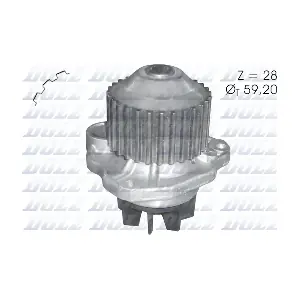DOLZ C123