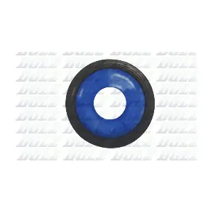 02KCS002 DOLZ