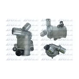 F253 DOLZ