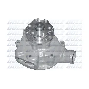 DOLZ M613