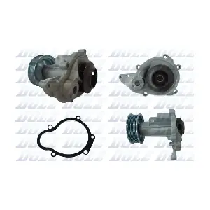 S294 DOLZ
