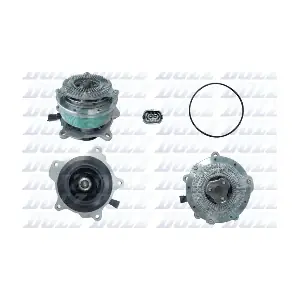 DOLZ D329