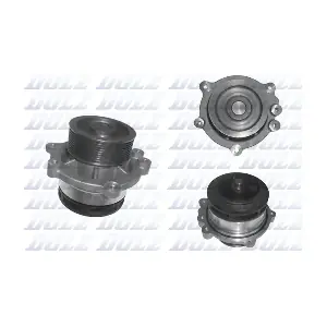 DOLZ D204