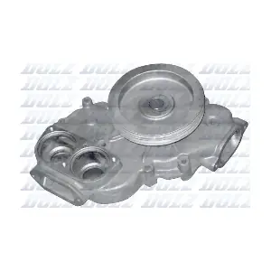 M619 DOLZ