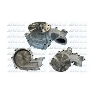 V504 DOLZ