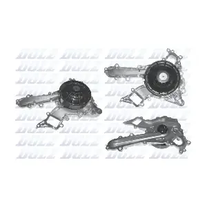M252 DOLZ