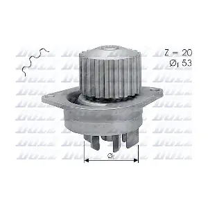 DOLZ C111