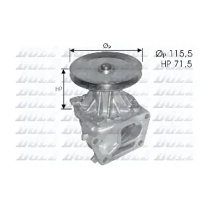 S136 DOLZ