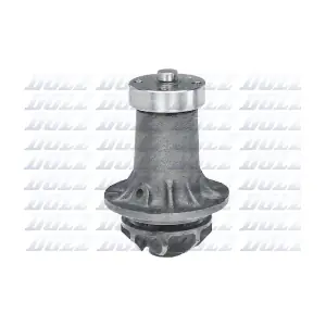 DOLZ M183