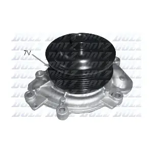 DOLZ M231