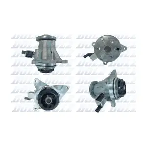 L248V DOLZ