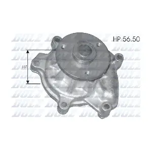 T219 DOLZ