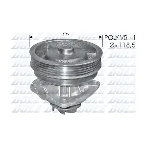 DOLZ S217