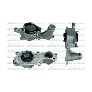 DOLZ F242