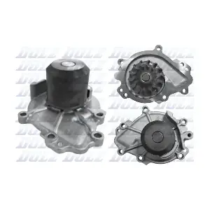 DOLZ K119