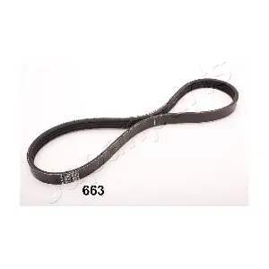 TV663 JAPANPARTS