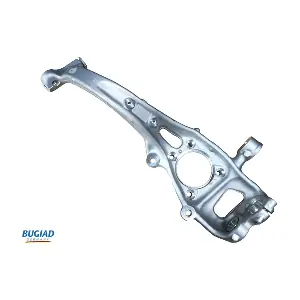 BSP25399 BUGIAD