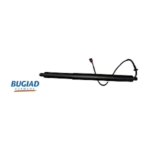 BRD50779 BUGIAD