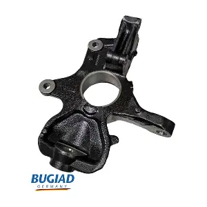 BSP25556 BUGIAD