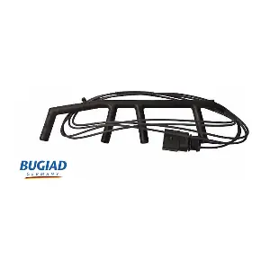 BCS52109 BUGIAD