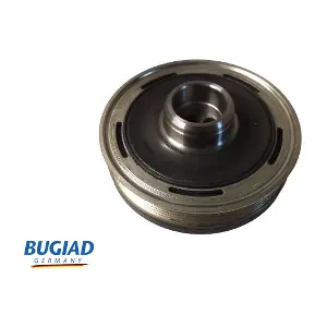 BCP16713 BUGIAD
