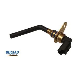 BOL15958 BUGIAD