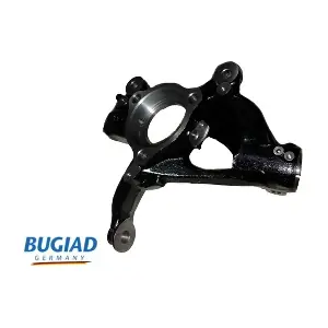 BSP25048 BUGIAD