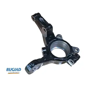 BSP25458 BUGIAD