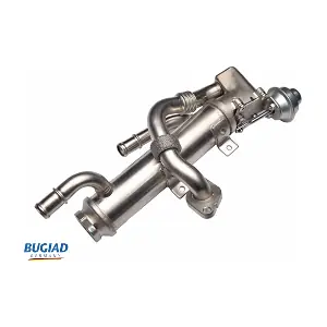 BGR13102 BUGIAD