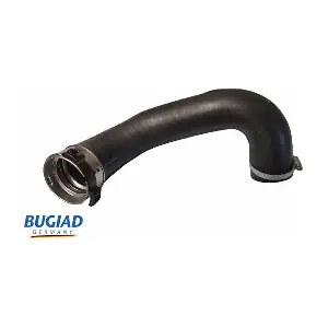 BUGIAD 82543