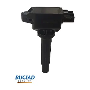 BIC19810 BUGIAD