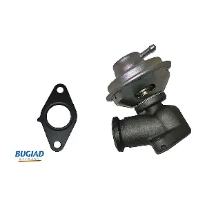 BGR13083 BUGIAD