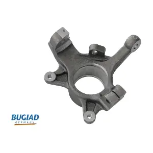 BSP25298 BUGIAD