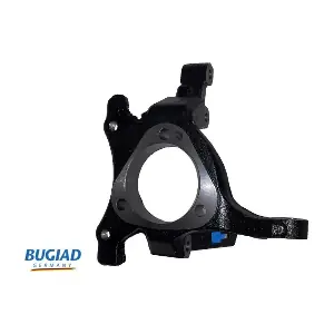 BSP25162 BUGIAD