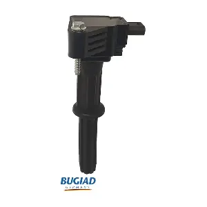 BIC19809 BUGIAD