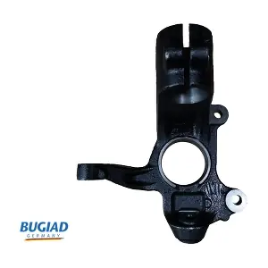 BSP25375 BUGIAD