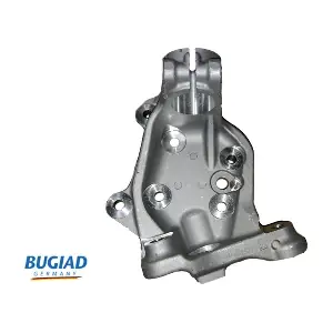 BSP25148 BUGIAD