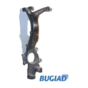 BSP20028 BUGIAD