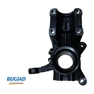 BSP25292 BUGIAD