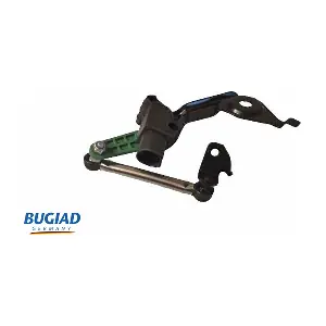BXS19659 BUGIAD