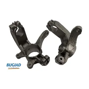 BSP25314 BUGIAD