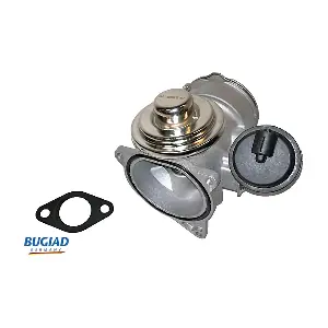 BGR13017 BUGIAD