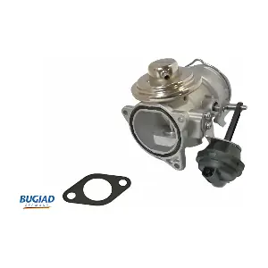 BGR13007 BUGIAD