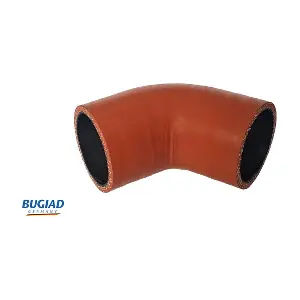 82299 BUGIAD