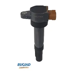 BIC19808 BUGIAD