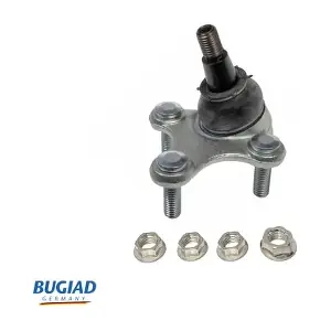 BUGIAD BSP21815