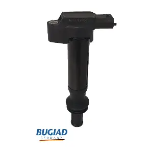 BIC19804 BUGIAD