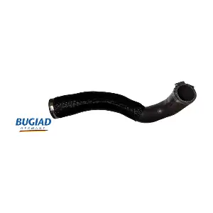 82598 BUGIAD