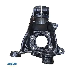 BSP25453 BUGIAD