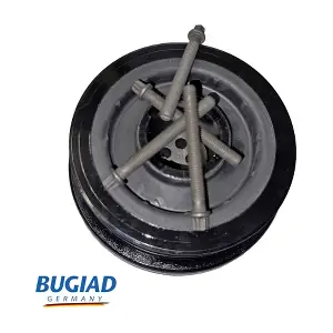 BCP16723 BUGIAD